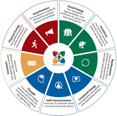 birkman assessment results|birkman online assessment.